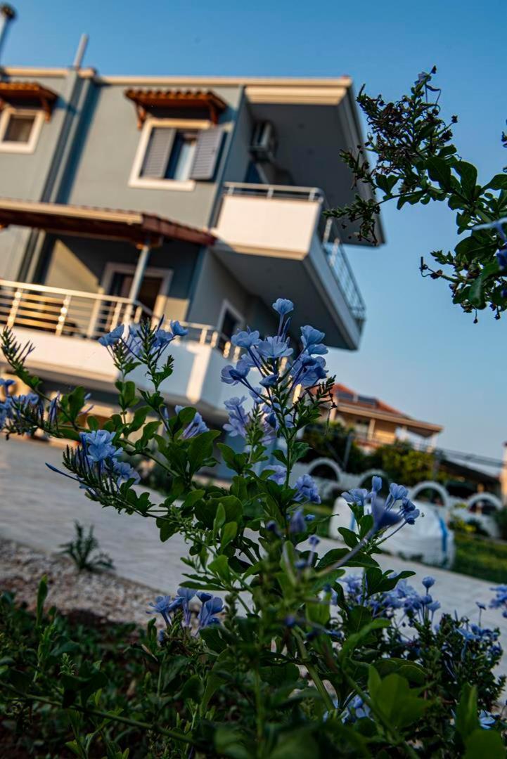 Ada'S House Apartment มิทิคาส ภายนอก รูปภาพ
